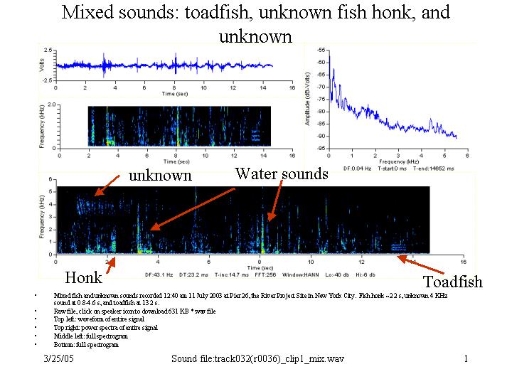 mixed sounds